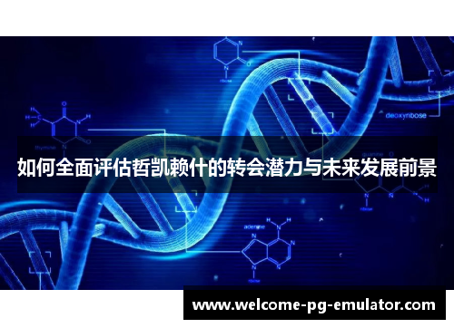 如何全面评估哲凯赖什的转会潜力与未来发展前景 如何全面评估哲凯赖什的转会潜力与未来发展前景