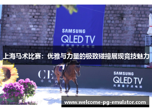 上海马术比赛：优雅与力量的极致碰撞展现竞技魅力