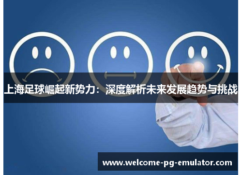 上海足球崛起新势力：深度解析未来发展趋势与挑战