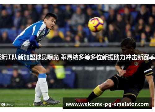 浙江队新加盟球员曝光 萊昂納多等多位新援助力冲击新赛季 浙江队新加盟球员曝光 萊昂納多等多位新援助力冲击新赛季