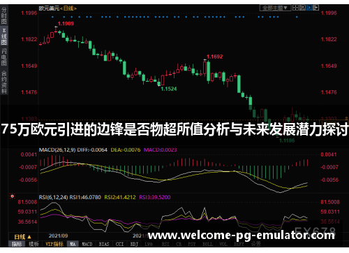 75万欧元引进的边锋是否物超所值分析与未来发展潜力探讨 75万欧元引进的边锋是否物超所值分析与未来发展潜力探讨