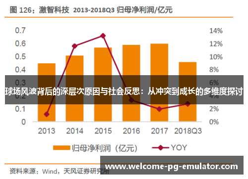 球场风波背后的深层次原因与社会反思：从冲突到成长的多维度探讨