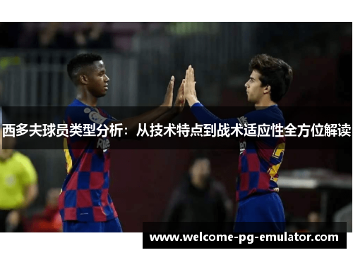 西多夫球员类型分析：从技术特点到战术适应性全方位解读