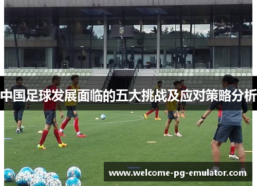 中国足球发展面临的五大挑战及应对策略分析