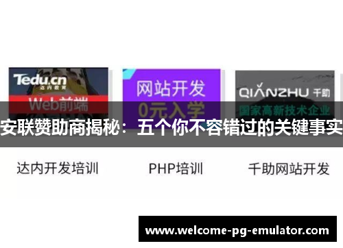 安联赞助商揭秘:五个你不容错过的关键事实 安联赞助商揭秘:五个你不容错过的关键事实