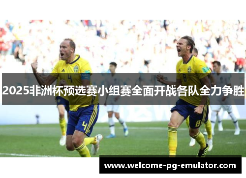 2025非洲杯预选赛小组赛全面开战各队全力争胜 2025非洲杯预选赛小组赛全面开战各队全力争胜