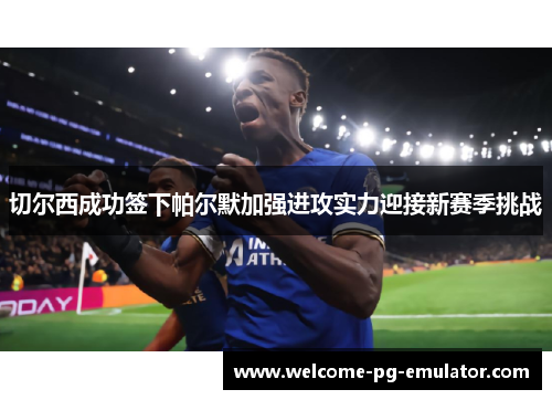 切尔西成功签下帕尔默加强进攻实力迎接新赛季挑战